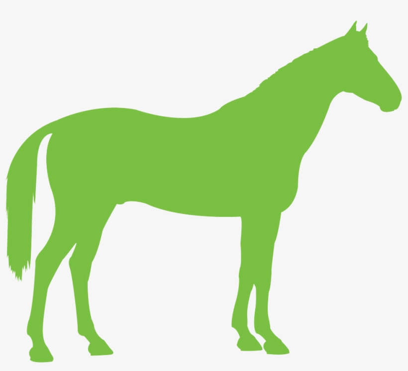Congratulations To The Following Winners Of A Place - Green Horse, transparent png download