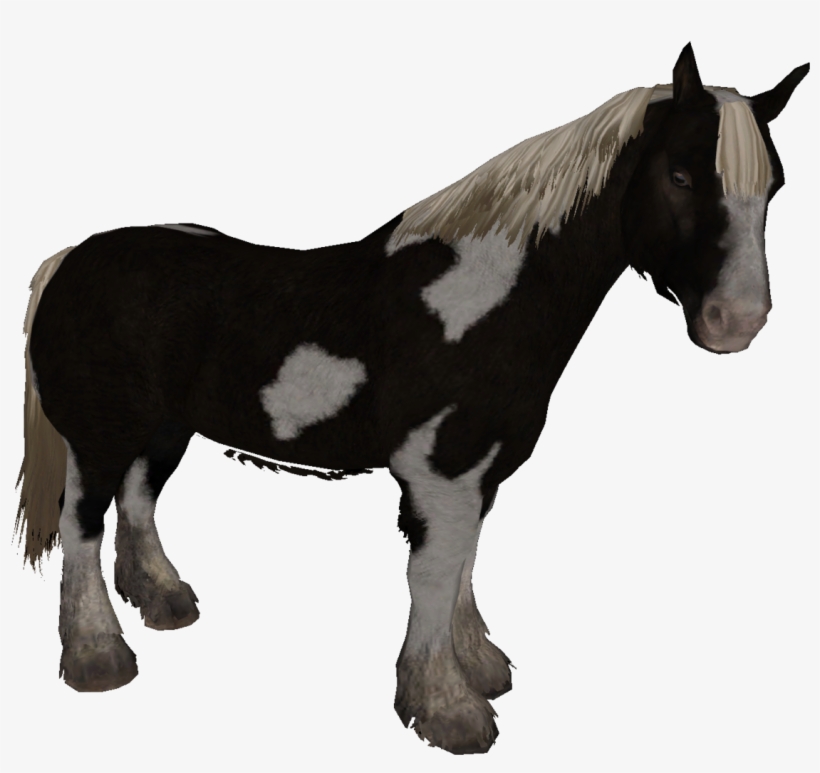 File Size - Skyrim Horse Types, transparent png download