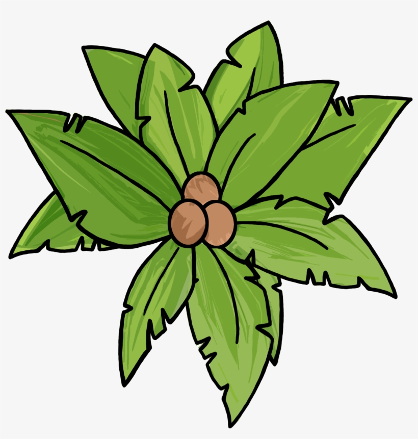 Tree Plan Png P Source - Clip Art, transparent png download