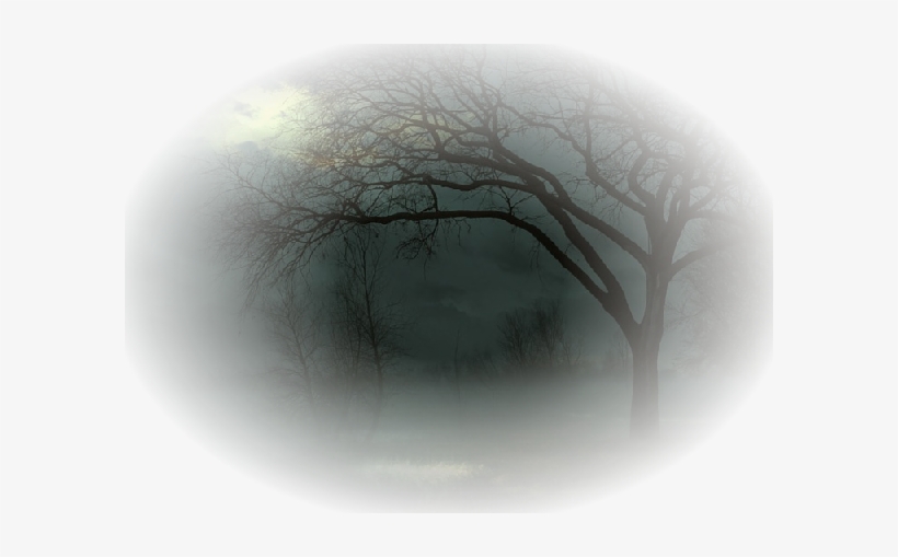 Fog, transparent png download