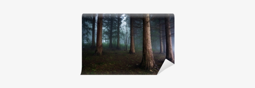 Sticker, transparent png download