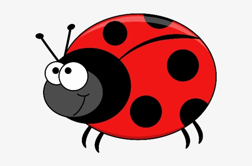 Beetle - Vector Graphics, transparent png download