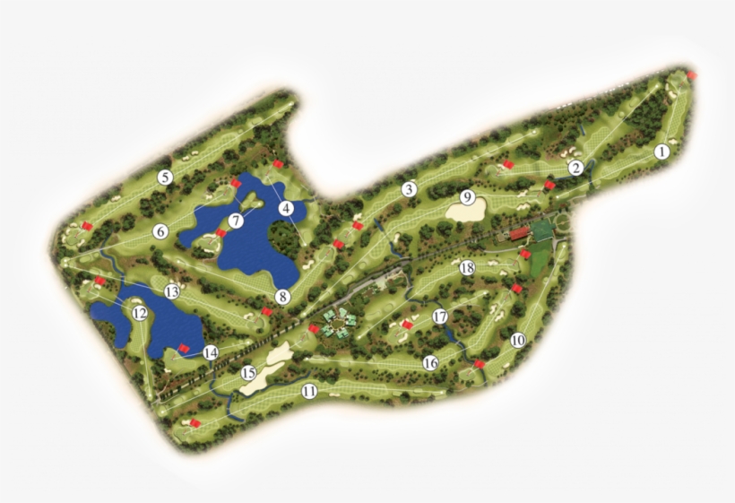 Holes - Tree, transparent png download