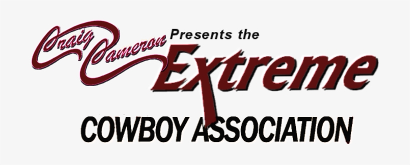 We Want To Thank You For Taking Time To Learn More - Horse, transparent png download