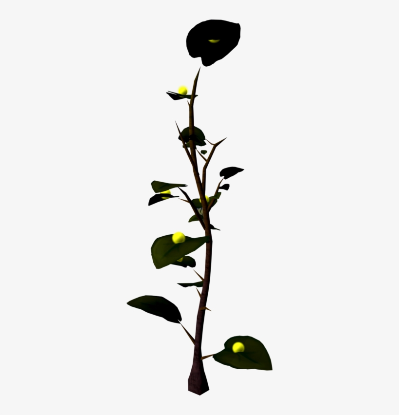 Exuberry Bush - Wiki, transparent png download