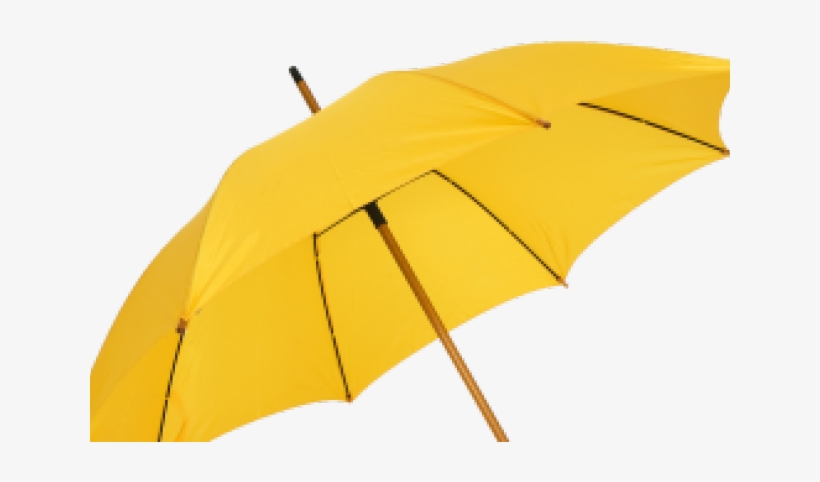 Umbrella Png Transparent, transparent png download