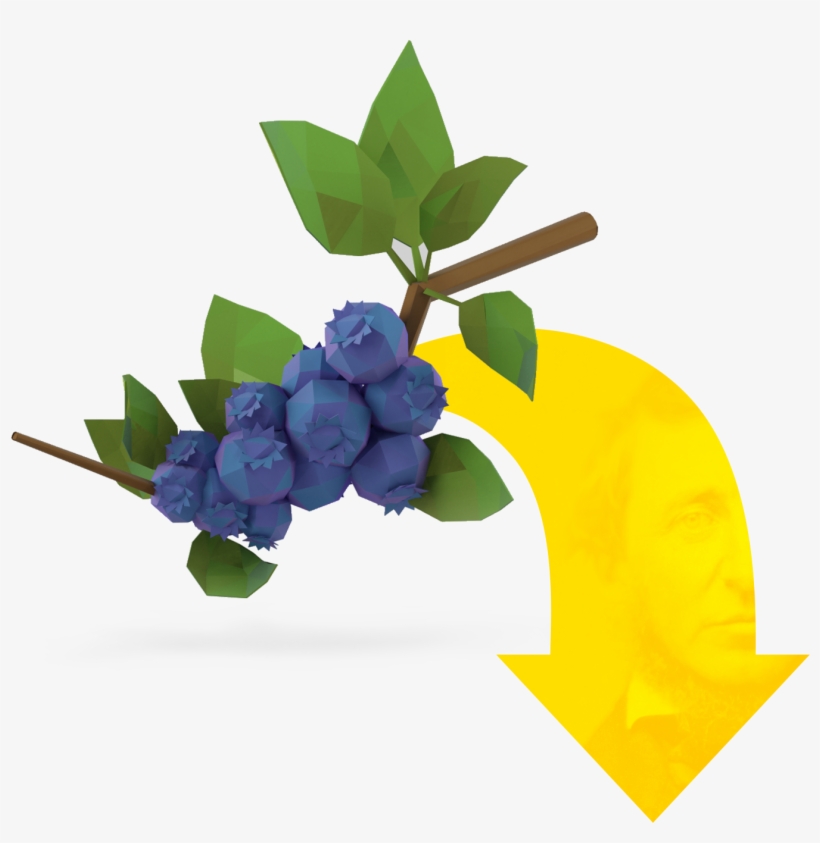 Scroll To Explore The Connections Between Thoreau, - Hydrangea, transparent png download