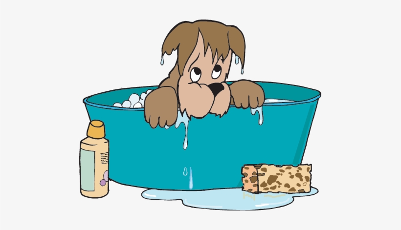 Water Isn't Just For Drinking, It Is Also Used For - Dog Bath Rectangle Magnet, transparent png download