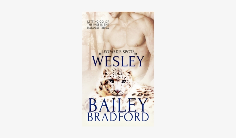 Wesley Revamp 9781786516466 Xlrg-400x400 - Book, transparent png download