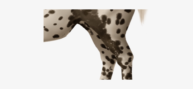 You Can See The Very Faint Remnants Of The Freckles - Tights, transparent png download