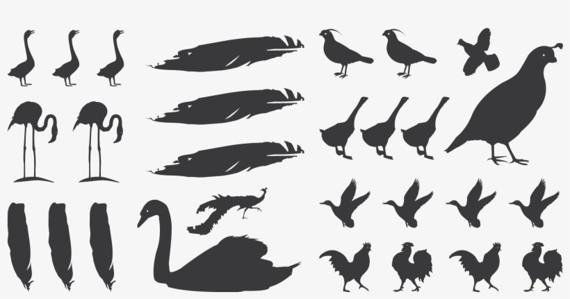 Fowl Play - Graffiti, transparent png download