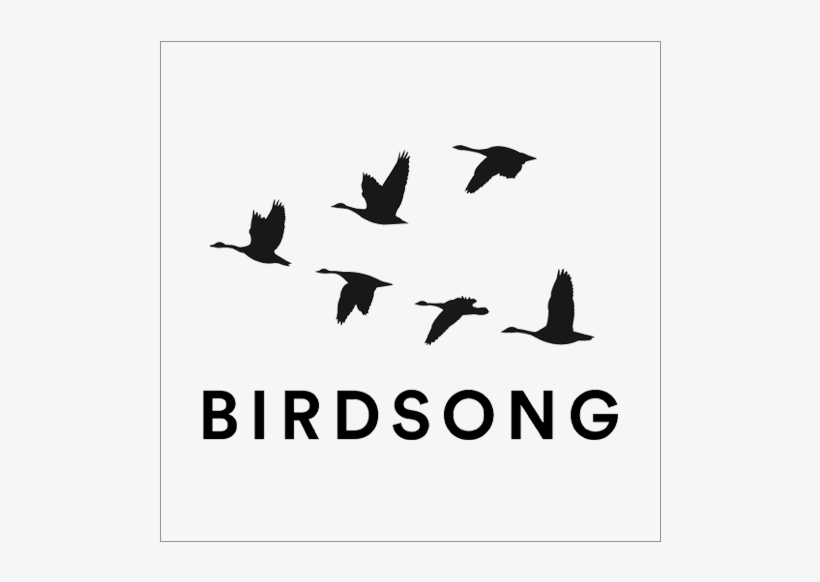 Birdsong, transparent png download