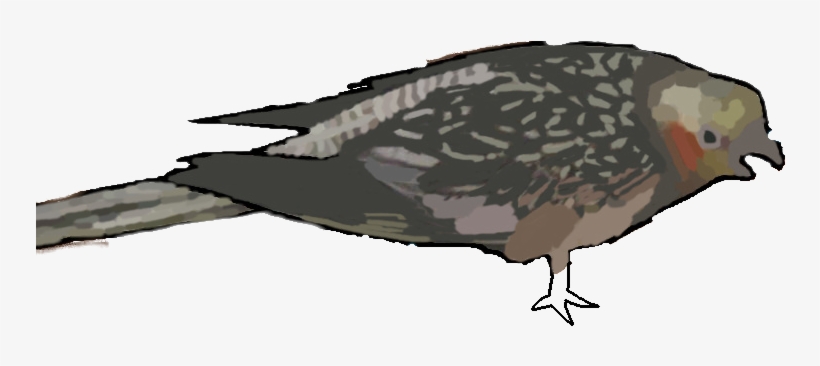 Post - Pigeons And Doves, transparent png download