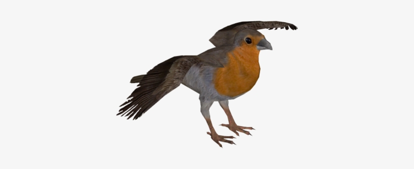 European Robin Pic Birds - Bachman's Warbler, transparent png download