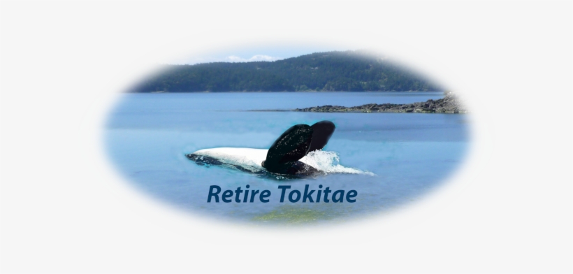 Our Sacred Sea - Logo, transparent png download