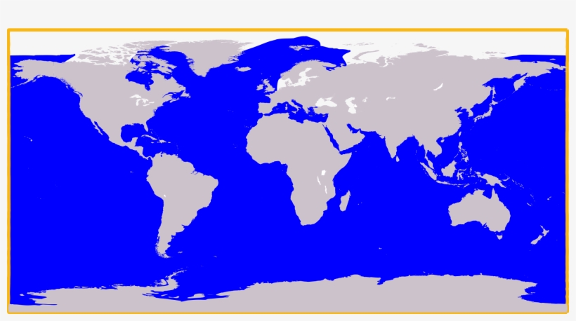 Open - Killer Whale Map, transparent png download