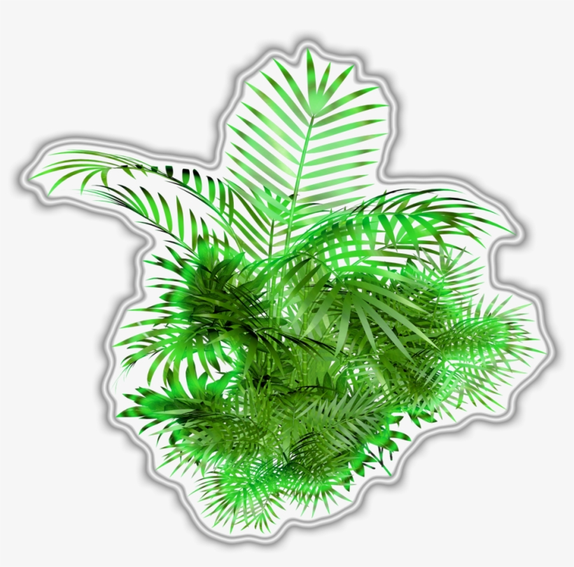 Elysium Green-065 - Water, transparent png download