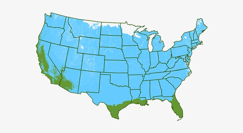 Growing Zones 9-11 Outdoors - Chamberlain South Dakota On Us Map, transparent png download