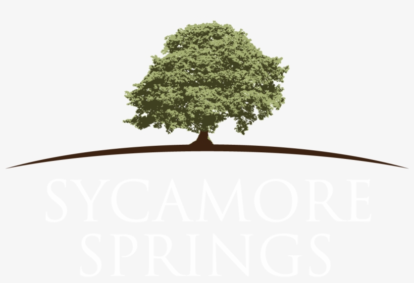 L.k. Wood: As Everyone Should, transparent png download