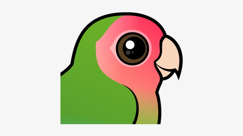 About The Rosy-faced Lovebird - Peach Faced Love Bird Cartoon, transparent png download