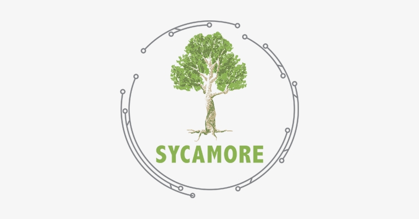 Sycamore International - Sycamore International, Inc., transparent png download