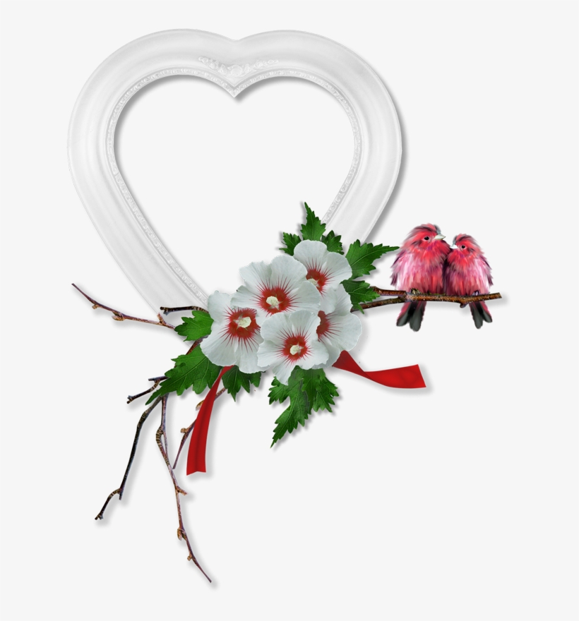Love Birds Frame Cluster (png-grafik, 631 × 800 Pixel) - Clip Art, transparent png download