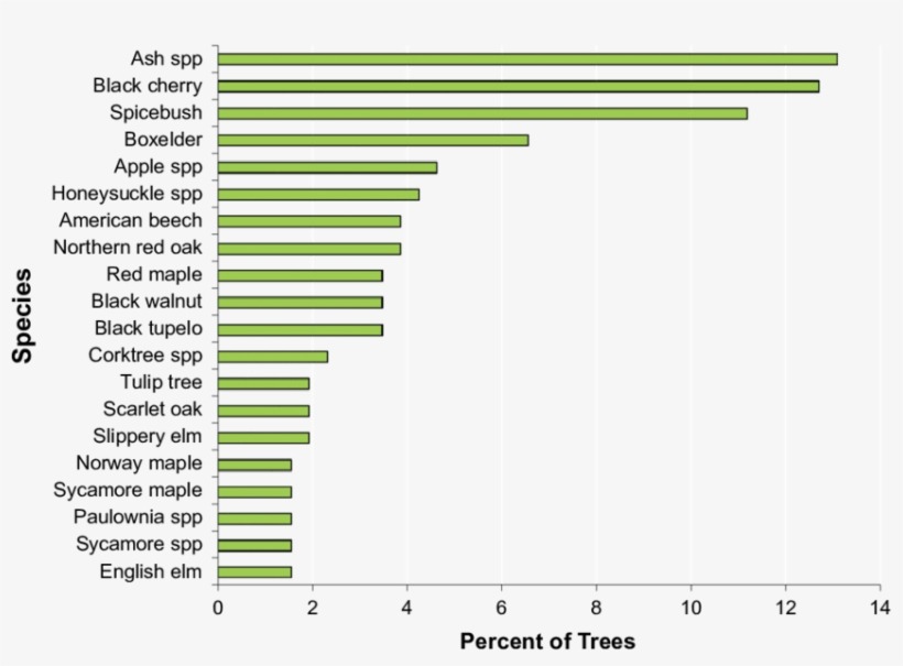 Percentage Of Trees In Wooded Category Of Land Use, - Number, transparent png download