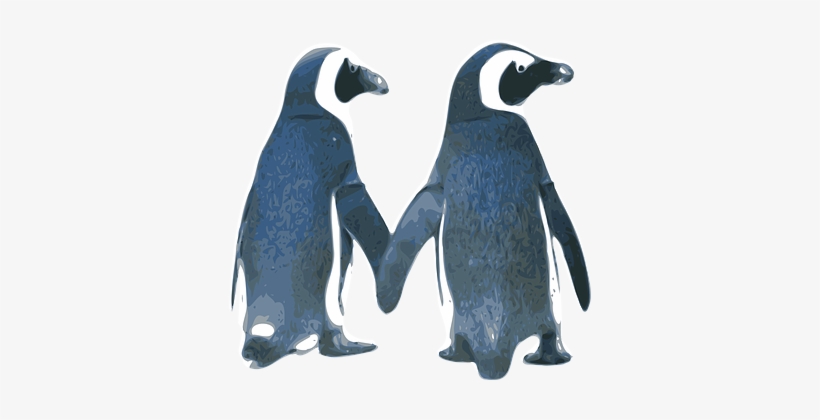 Penguins Love Birds Couple Nature Tux Vale - Penguins Holding Hands, transparent png download