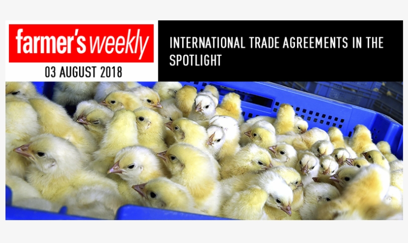 News - United States Of America, transparent png download