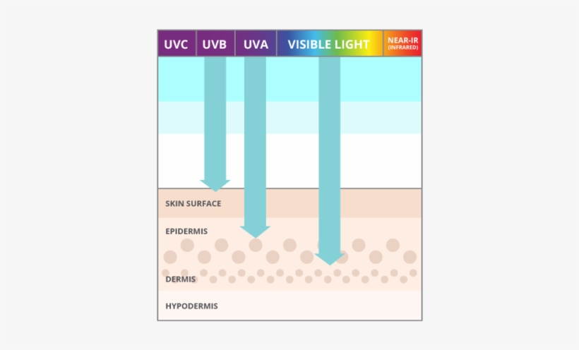 Blue Light Bad For Your Skin - Uv A And Uvb, transparent png download