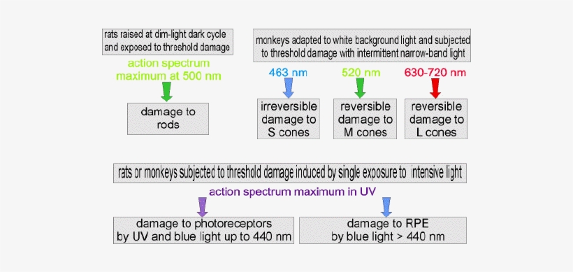 Figure - Non Ionizing Radiation Effects On Human Body, transparent png download