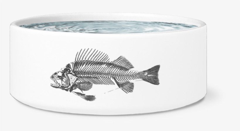 Fish Bone Bowl - Çanakkale Martyrs' Memorial, transparent png download