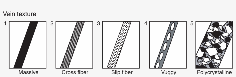 Textures Used To Describe Veins - Scientist, transparent png download