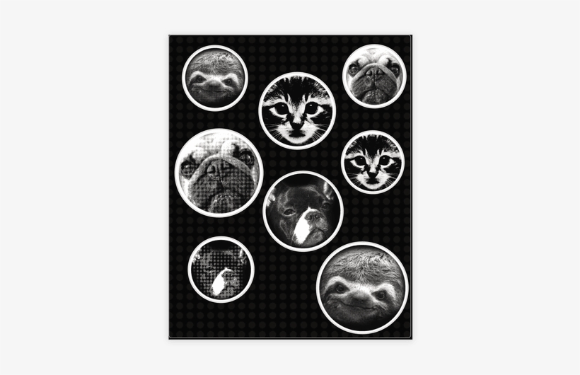 Animal Face Sticker/decal Sheet - Great Chili Cook Off [book], transparent png download