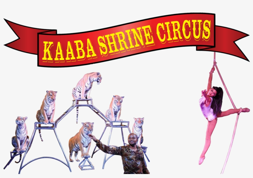 Brand Licensing Europe Logo, transparent png download