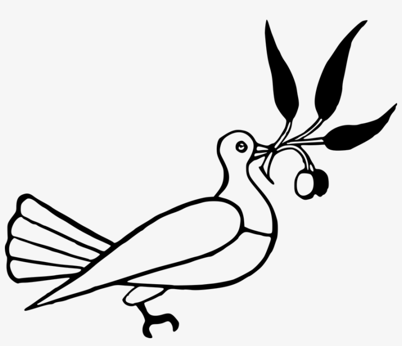 Dove Clipart Clip Art - Olive Branch Black And White Cartoon, transparent png download
