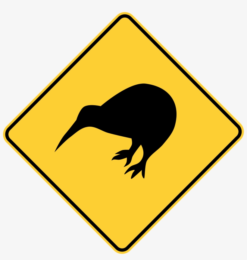 Open - Stewart Island, transparent png download