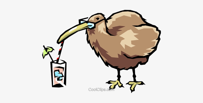 Kiwi Bird Royalty Free Vector Clip Art Illustration - Clip Art, transparent png download