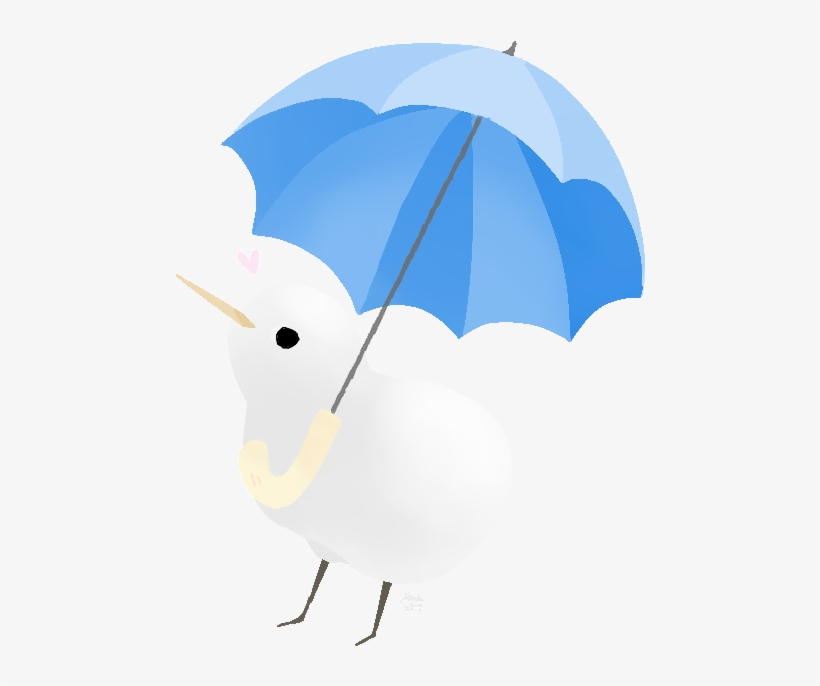 Kiwi, transparent png download