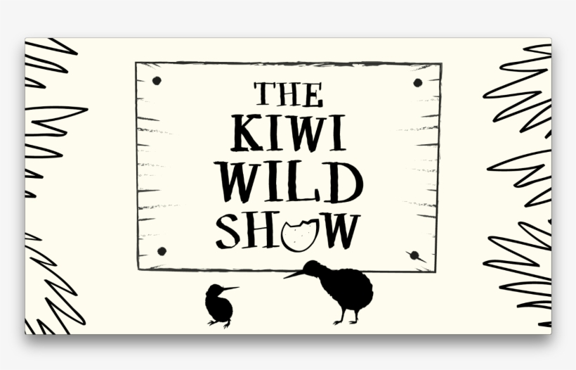 This Program Helps Raise The Chances Of Kiwi Chicks - Must, transparent png download
