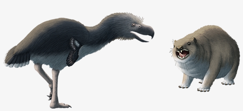 The Flightless Terror Birds Were The Largest Predators - Terror Birds, transparent png download