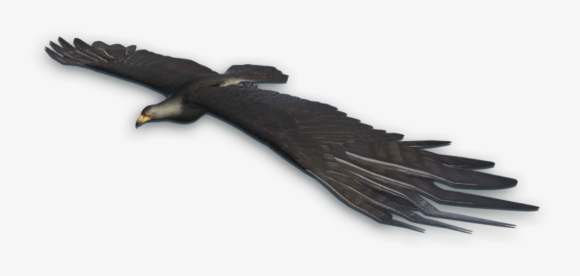 Far Cry 3 Black Eagle, transparent png download