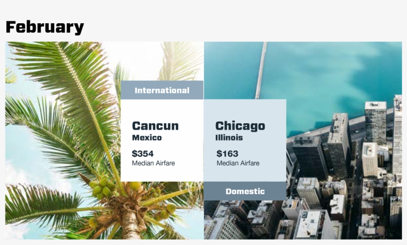 Find The Destination That Fits Your Travel Plans And - Attalea Speciosa, transparent png download