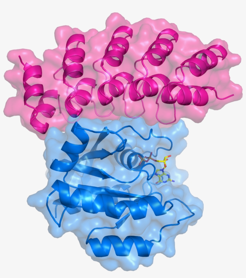 1 Aug - Chain, transparent png download