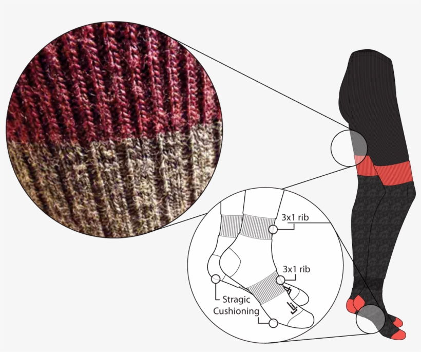 Banner Closeup Athletic Sock Thermal Pant - Circle, transparent png download