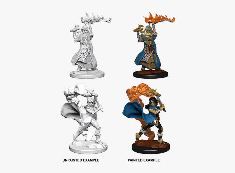 Nolzur's Marvelous Miniatures - Pathfinder Battles: Deep Cuts Unpainted Minis - Human, transparent png download