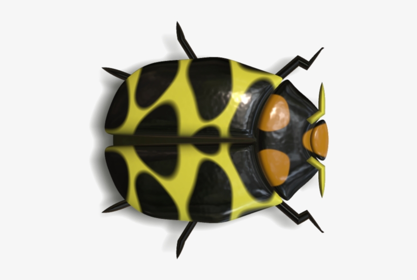 Ladybird Beetle, transparent png download