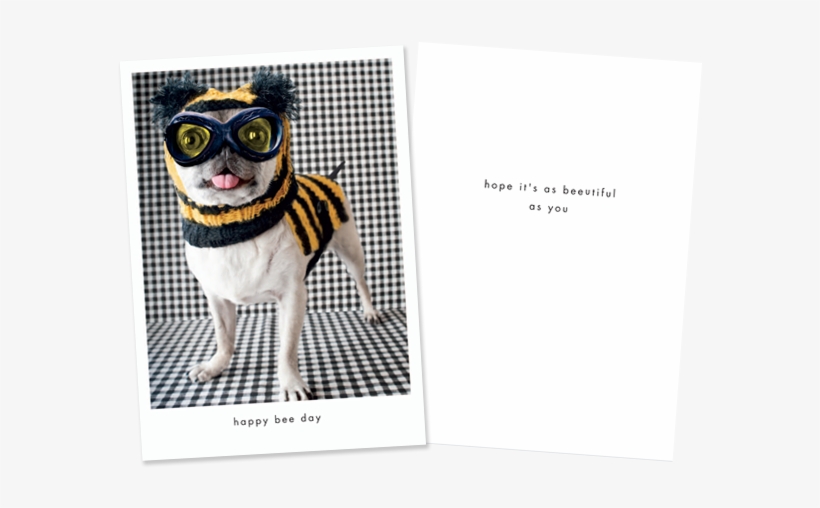 Recycled Paper Greetings, transparent png download