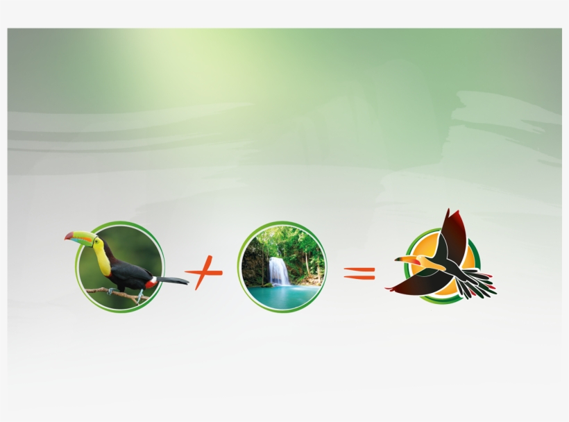 Jungle, transparent png download