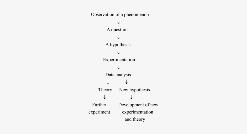 The Scientific Method Is A Systematic Approach To The - Document, transparent png download